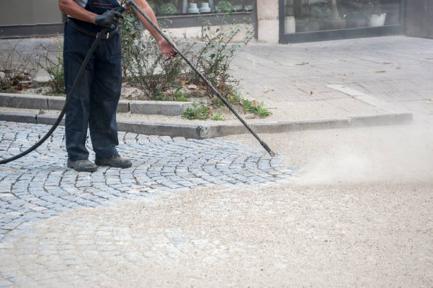 Best Driveway Pressure Washing  in Union Mill, VA